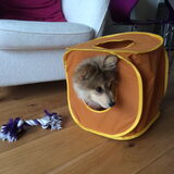 Misa in het speelhuisje van de poezen.