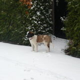 dit is noenja