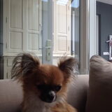 Knapperd!