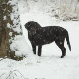 Foto van Wendy