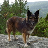 Foto van Sara