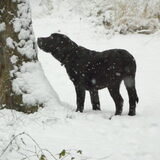 Foto van Wendy