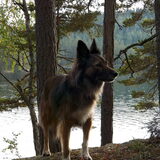 Foto van Sara