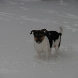Foto van Yvonne en cyra