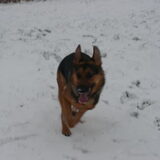 even rennen sneeuw joepie!