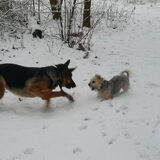 even samen spelen hoor
