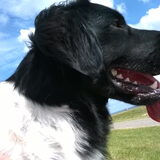 Met de neus in de wind op Schier!