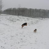 en nog even rennen
