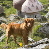 Foto van Luan en Lenne