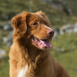 Foto van Luan en Lenne