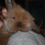Foto van Cassy met Pepsi, Shana en Mandy