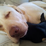 the good life :-)