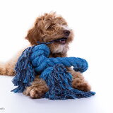 Fotoshoot 31-08-2014 5 maanden oud.