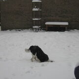 Waar is de wereld gebleven???