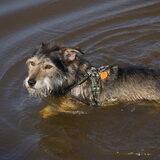 Foto van Joyce&Chica