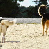 Foto van Tiffani & Pepper