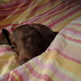 Even lekker op bed voor we gaan slapen :) (26-9-2014)