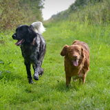Foto van Maks met Fenna & Yuna