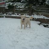 Vervelende sneeuwvlokjes