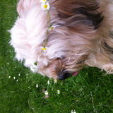 Foto van Lesley