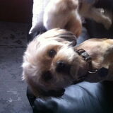 Naar de kapper geweest ????