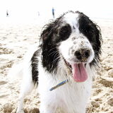 Foto van Angelique; Bruno, Charlie & Fenna