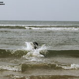 Strand ~ 28-09-2014