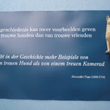 Spreekt voor zich!!!!