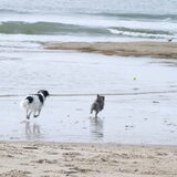 Strand ~ 28-09-2014