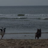 Strand ~ 28-09-2014