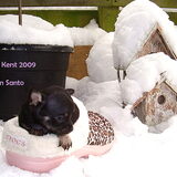 Mag ik Crocs onder de Kerstboom ?????