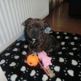 Foto van Elly