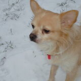 Foto van Sanne (en Toby)