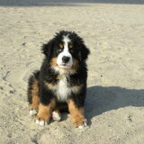 ion op het strand