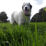 Foto van Fons & Isha