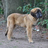 Foto van Saskia & Duke