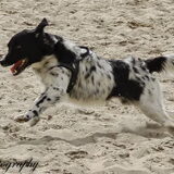 Foto van Michelle & Bentley