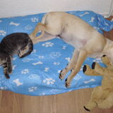 Jette (4 mnd) en Rik (5 mnd)