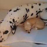 Foto van Sky & Hailey