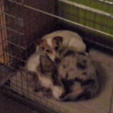 Foto van Jessica rakker - luna r.i.p. leika