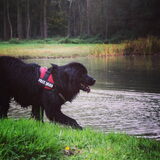Foto van Anouk & Balou<3