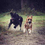 Foto van Anouk & Balou<3