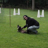 Flyball les