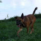Foto van Angelique; Bruno, Charlie & Fenna