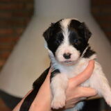 Foto van Vivian   <3    Sem