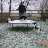 De trampoline is altijd goed voor veel plezier. Yindi, Noekie en Zorro…