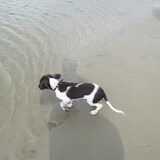 Zwemmen in de zee