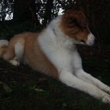 Foto van Angelique; Bruno, Charlie & Fenna