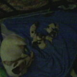 Lindsey met de eerste 5 baby's