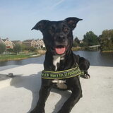 Knappe meid!